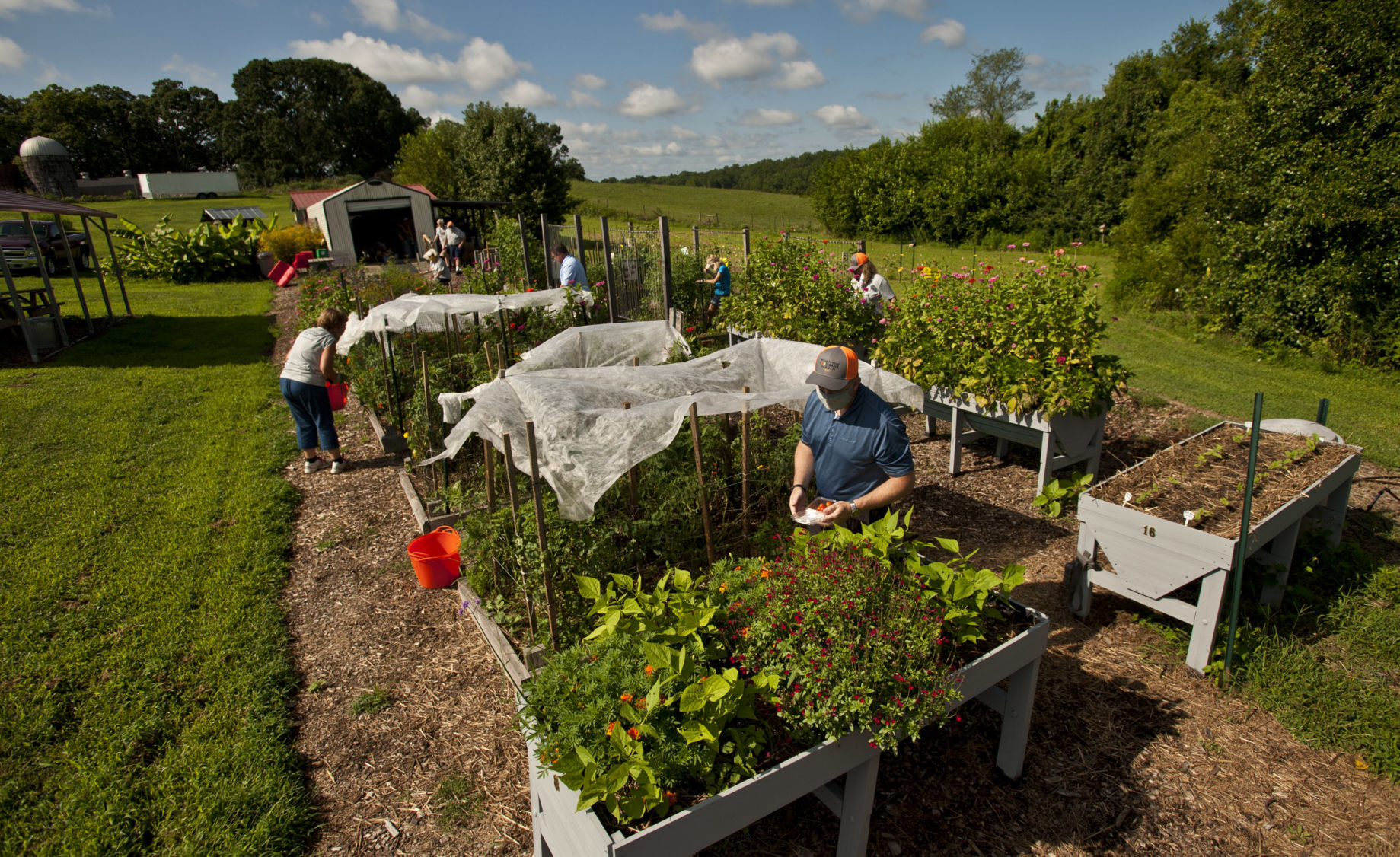 Food Bank garden